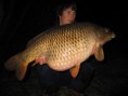 /album/hayling/mini-tony-13-04-05-003-jpg/